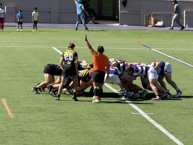 Close view of the Mizzou and Kansas State packs bound in a scrum, the Mizzou scrum half waiting with the referee alongside