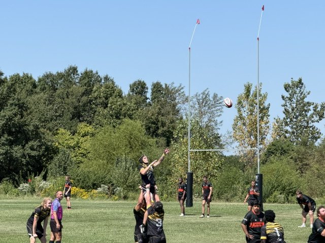 A lifted jumper reaches for the ball at a lineout, goalposts behind