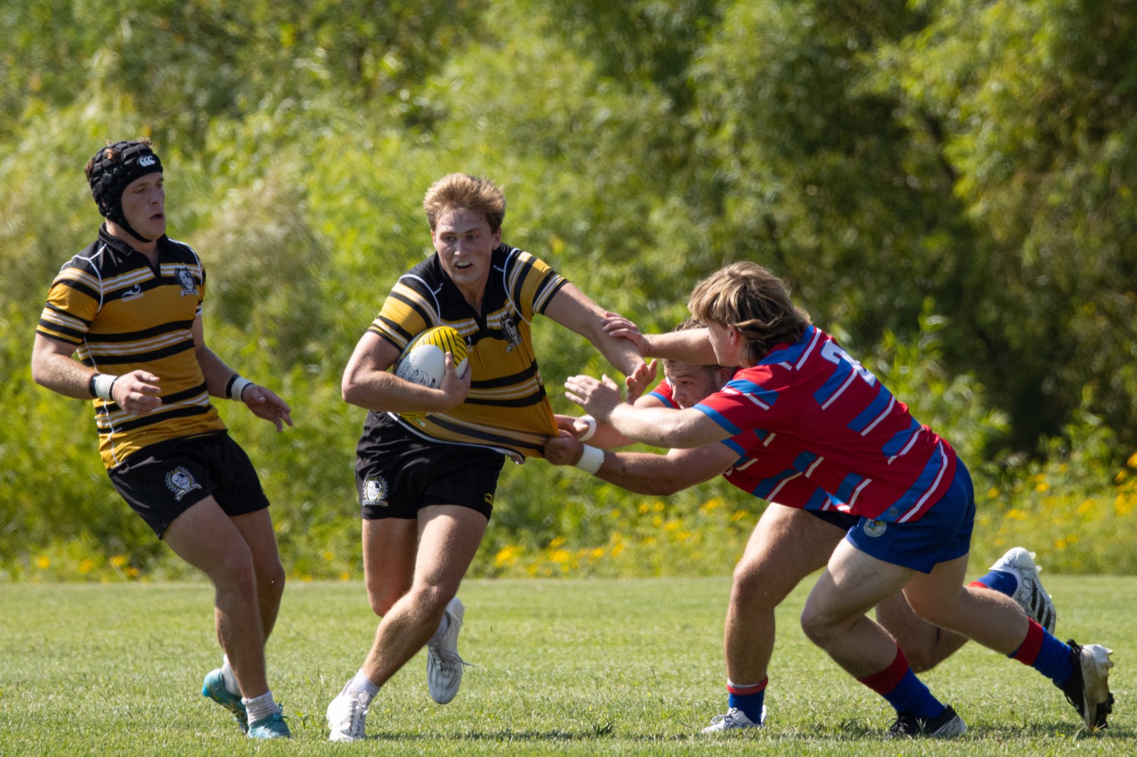 A Mizzou ball carrier hands off a Kansas tackler in red and blue
