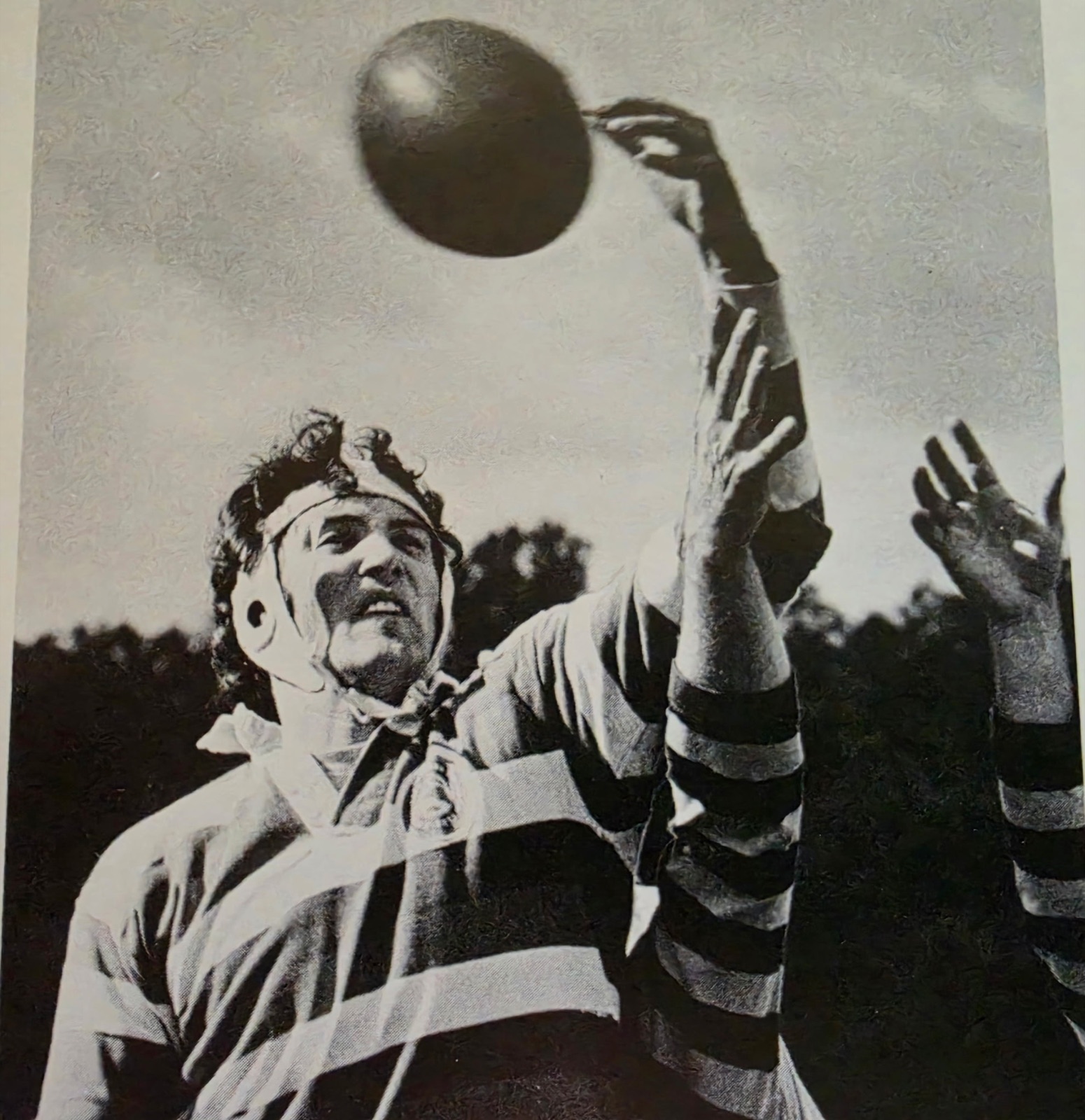 Mizzou player in a scrum cap leaping to win a lineout ball, early 1970s
